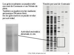 Slide 28
