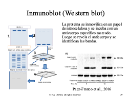 Slide 29