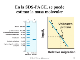 Slide 30