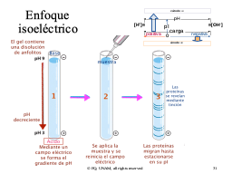 Slide 31