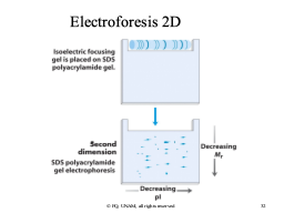 Slide 32