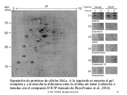 Slide 33