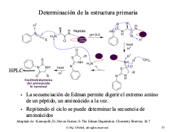 Slide 37
