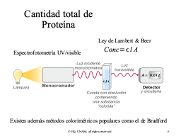 Slide 6