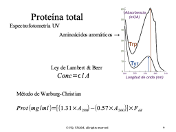 Slide 9