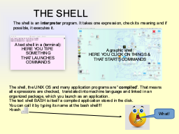 The BASH shell