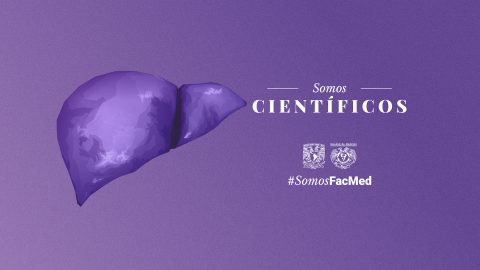 Investigación | Departamento De Bioquímica, Facultad De Medicina, UNAM