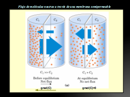 gradientes de solutos