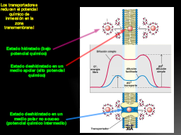 Energética del uniporte