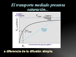 Cinética de un transportador