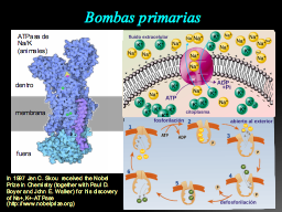 Bomba de Na/K