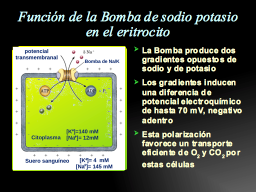 Gradientes ionicos en el eritrocito