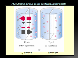 gradientes de iones
