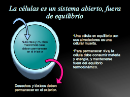 equilibrio y sistemas abiertos