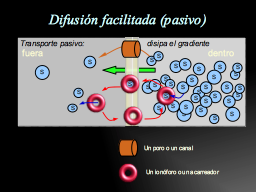 Difusión facilitada