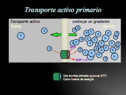 transporte activo primario