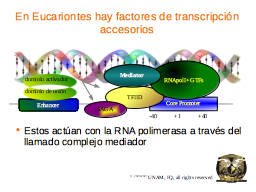 Slide 20
