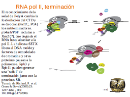 Slide 33