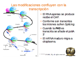 Slide 45