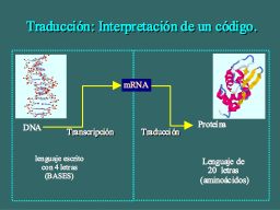 Traducción
