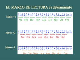 Slide 15
