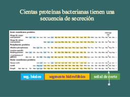 Slide 29