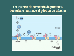 Slide 30