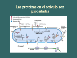 Slide 33