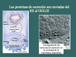 Slide 34