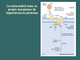 Slide 36