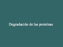 Slide 38