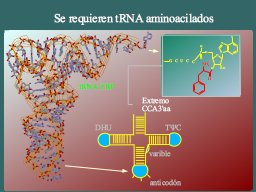 Diccionarios