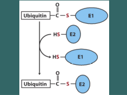 Slide 42