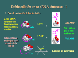 Activación de AAs