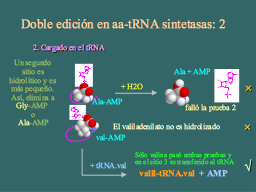 Cargado de tRNAs