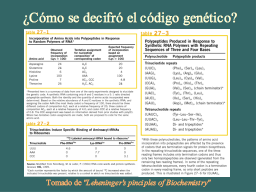 Slide 9