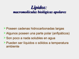 ¿Qué son los lípidos?
