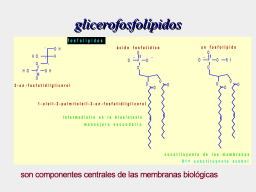 glicerofosfolípidos