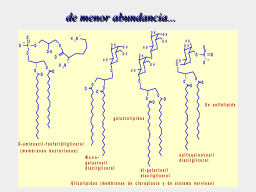 Otros glicerolípidos membranales