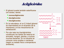 Acilglicéridos