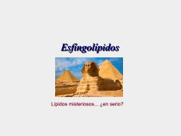 ¿Lípidos misteriosos?