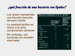 Abundancia
