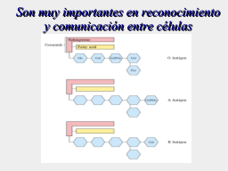 Tipos Sanguíneos