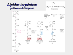 ¿Qué son los terpenos?