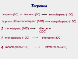 Clases de termpenos