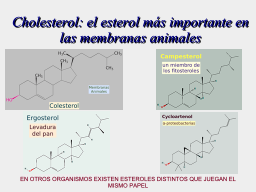 Colesterol en membranas