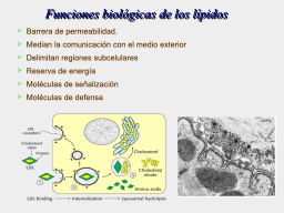 Sus funciones en general.